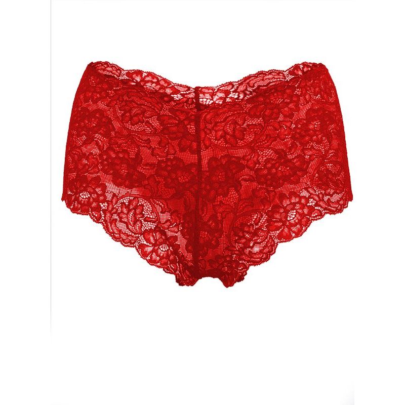 High Rise Lace Brief