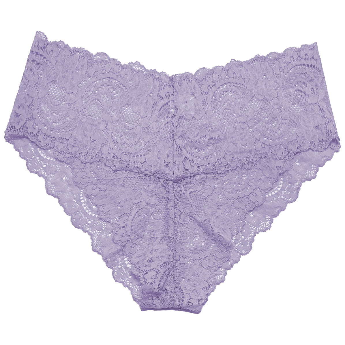 High Rise Lace Brief