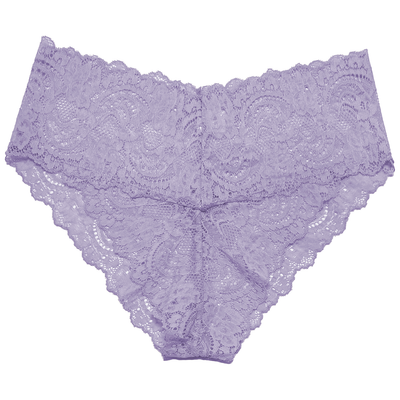 High Rise Lace Brief