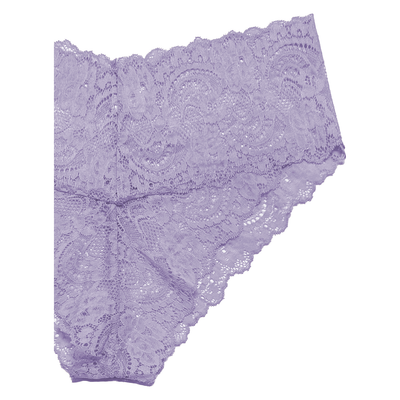 High Rise Lace Brief